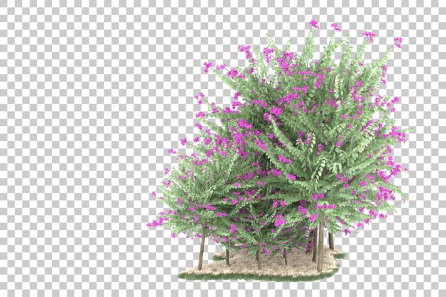 Floresta em fundo transparente. renderização em 3d - ilustração