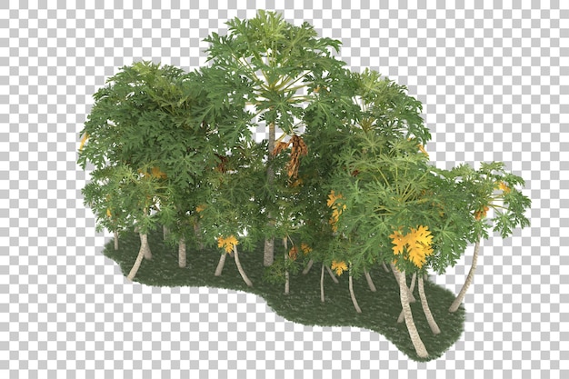 Floresta em fundo transparente. renderização em 3d - ilustração