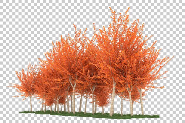 Floresta em fundo transparente. renderização em 3d - ilustração