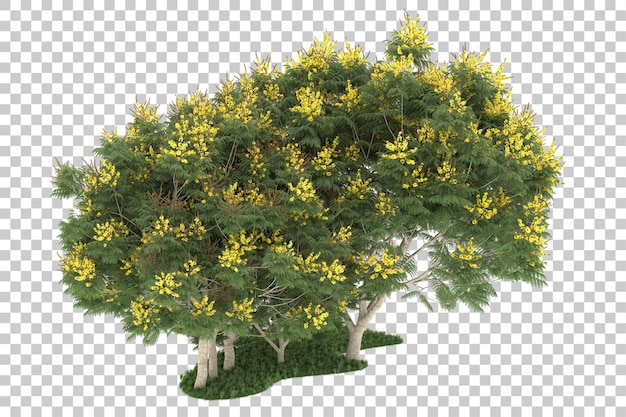 Floresta em fundo transparente. renderização em 3D - ilustração