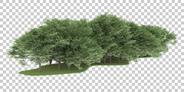 Floresta em fundo transparente. renderização em 3d - ilustração
