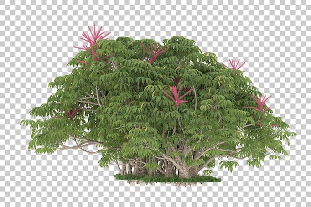 Floresta em fundo transparente. renderização em 3D - ilustração