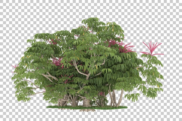 Floresta em fundo transparente. renderização em 3D - ilustração