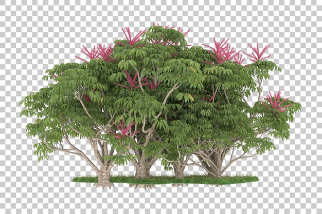 Floresta em fundo transparente. renderização em 3D - ilustração