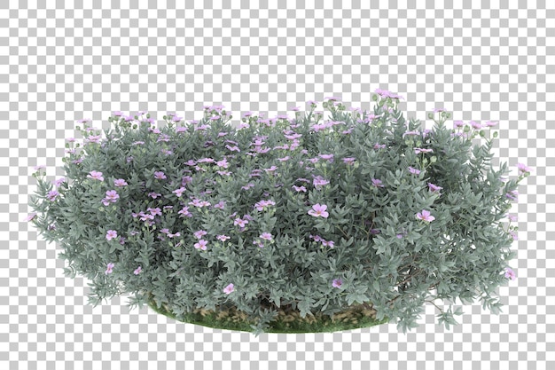 Floresta em fundo transparente. renderização em 3d - ilustração