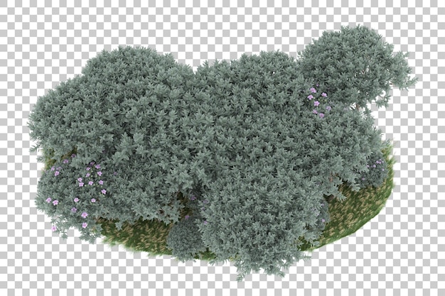 Floresta em fundo transparente. renderização em 3d - ilustração