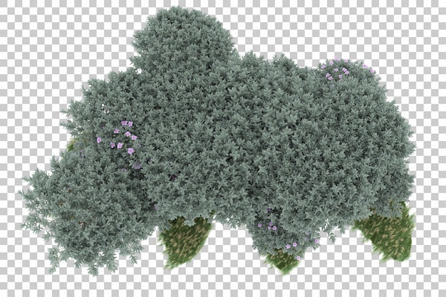 Floresta em fundo transparente. renderização em 3D - ilustração