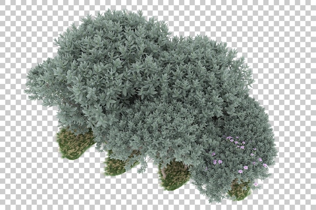 Floresta em fundo transparente. renderização em 3d - ilustração