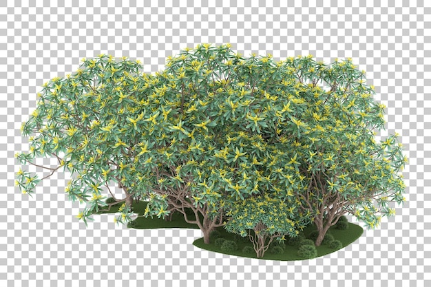 Floresta em fundo transparente. renderização em 3D - ilustração