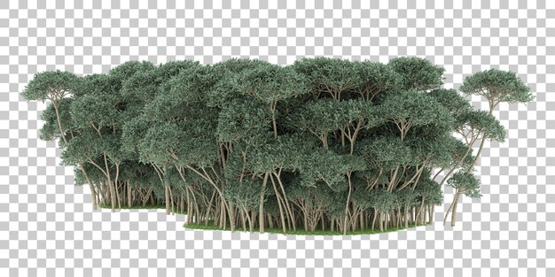 Floresta em fundo transparente. renderização em 3d - ilustração