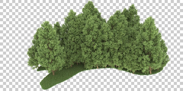 PSD floresta em fundo transparente. renderização em 3d - ilustração