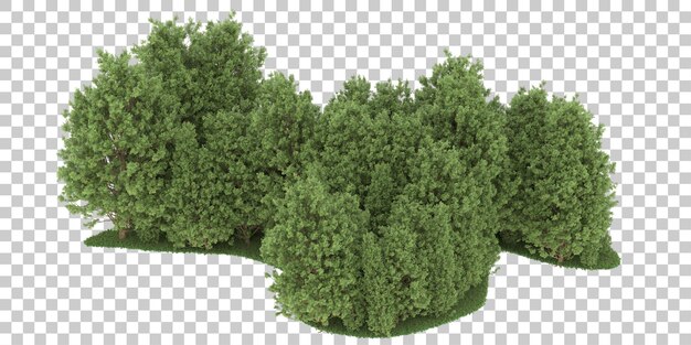 PSD floresta em fundo transparente. renderização em 3d - ilustração