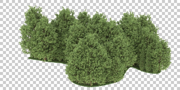 PSD floresta em fundo transparente. renderização em 3d - ilustração