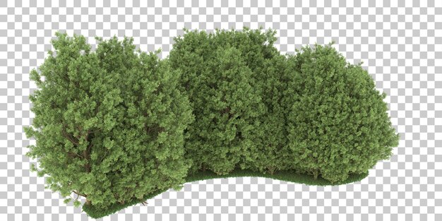 PSD floresta em fundo transparente. renderização em 3d - ilustração