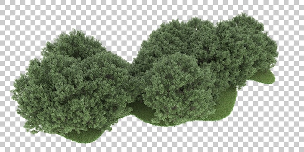 PSD floresta em fundo transparente. renderização em 3d - ilustração