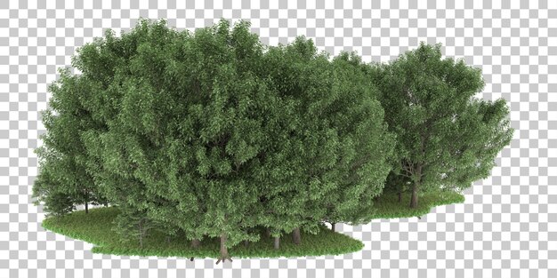 PSD floresta em fundo transparente. renderização em 3d - ilustração