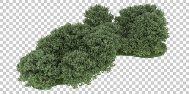 PSD floresta em fundo transparente. renderização em 3d - ilustração