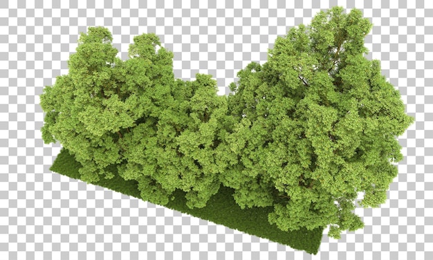 Floresta isolada na ilustração de renderização 3d de fundo transparente