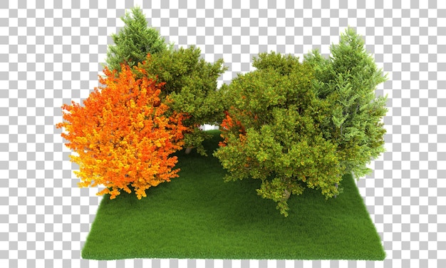 Floresta isolada na ilustração de renderização 3d de fundo transparente