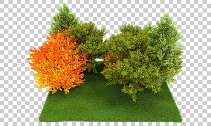 PSD floresta isolada na ilustração de renderização 3d de fundo transparente