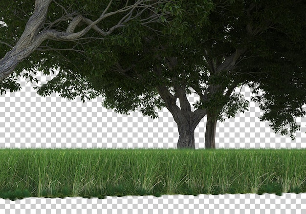 PSD floresta na ilustração de renderização 3d de fundo transparente