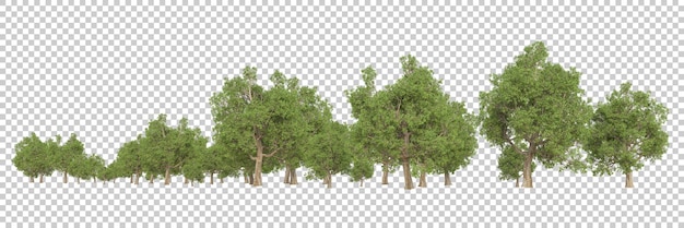 Floresta na ilustração de renderização 3d de fundo transparente