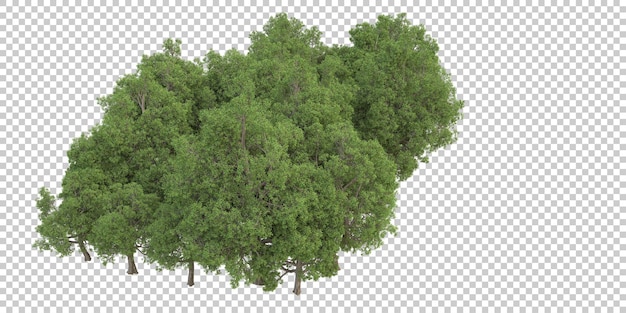 Floresta na ilustração de renderização 3d de fundo transparente