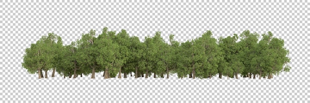 Floresta na ilustração de renderização 3d de fundo transparente