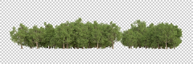 Floresta na ilustração de renderização 3d de fundo transparente