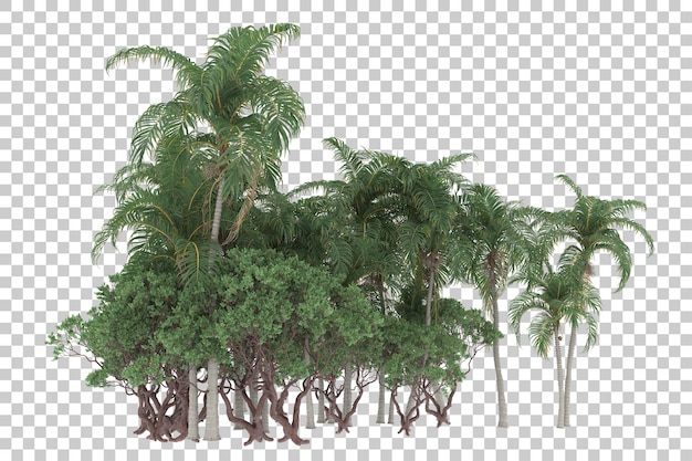 Floresta tropical em fundo transparente. renderização em 3d - ilustração