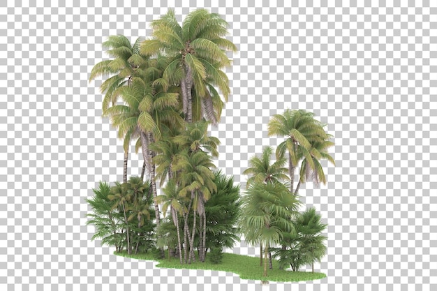 Floresta tropical isolada em fundo transparente ilustração de renderização 3d