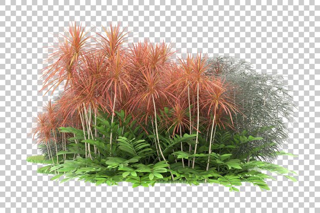 PSD floresta tropical isolada na ilustração de renderização 3d de fundo transparente