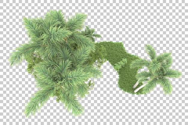 PSD floresta tropical isolada na ilustração de renderização 3d de fundo transparente