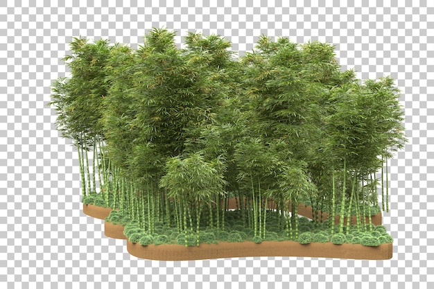 Floresta tropical isolada na ilustração de renderização 3d de fundo transparente