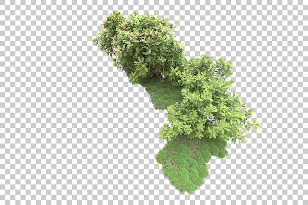 Floresta tropical isolada na ilustração de renderização 3d de fundo transparente