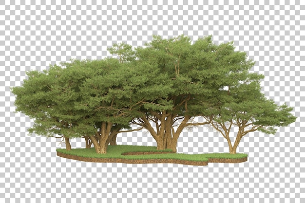 Floresta tropical isolada na ilustração de renderização 3d de fundo transparente