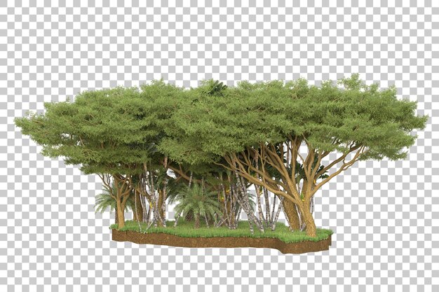 PSD floresta tropical isolada na ilustração de renderização 3d de fundo transparente