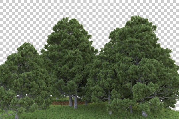 PSD floresta tropical isolada na ilustração de renderização 3d de fundo transparente