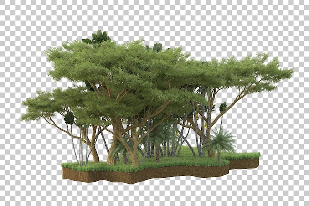 Floresta tropical isolada na ilustração de renderização 3d de fundo transparente
