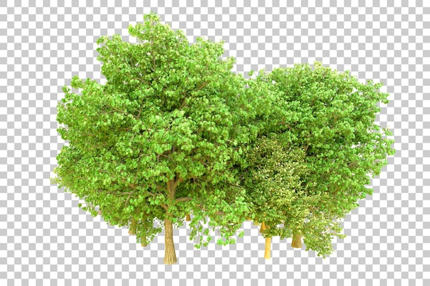 PSD floresta verde isolada em fundo transparente ilustração de renderização 3d