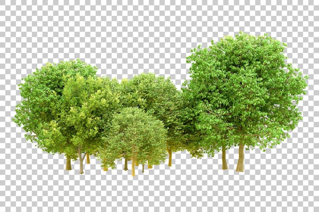 Floresta verde isolada em fundo transparente ilustração de renderização 3D