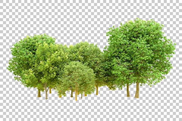 PSD floresta verde isolada em fundo transparente ilustração de renderização 3d