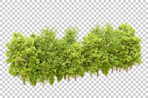 Floresta verde isolada em fundo transparente ilustração de renderização 3d