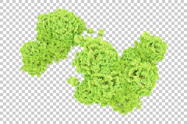 PSD floresta verde isolada em fundo transparente ilustração de renderização 3d