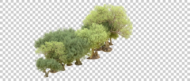 Floresta verde isolada na ilustração de renderização 3d de fundo