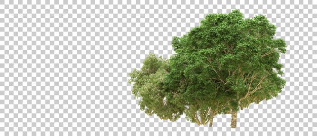 PSD floresta verde isolada na ilustração de renderização 3d de fundo