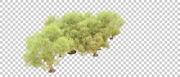 Floresta verde isolada no fundo ilustração de renderização 3d