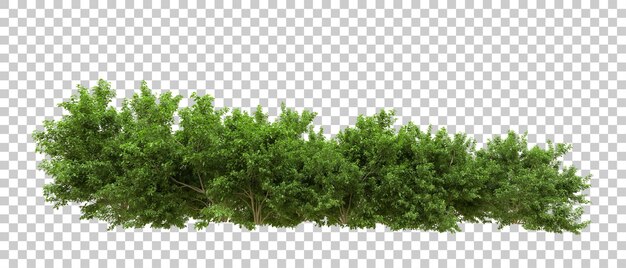 PSD floresta verde isolada no fundo ilustração de renderização 3d