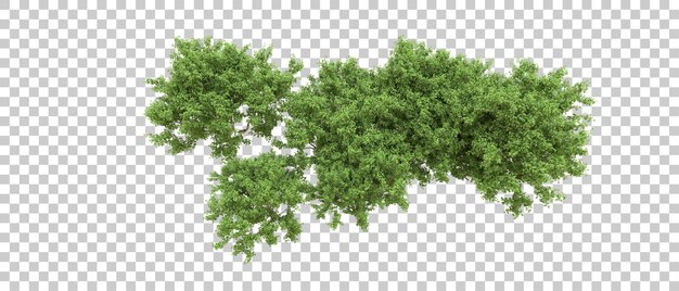 PSD floresta verde isolada no fundo ilustração de renderização 3d