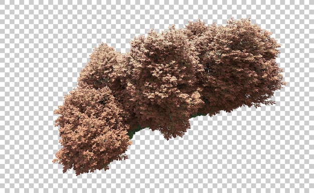 PSD floresta verde isolada no fundo ilustração de renderização 3d